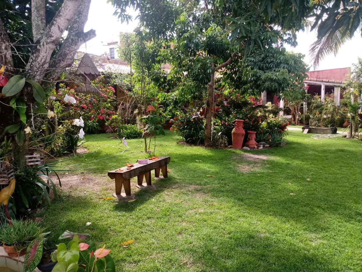 Pousada Bromelias - Suites E Aptos Nova Vicosa Exterior photo
